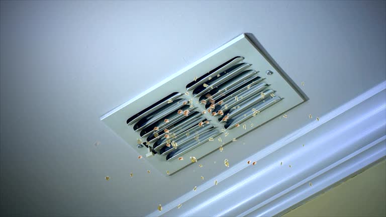 Best Air Vent Cleaning Services  in Mcalmont, AR